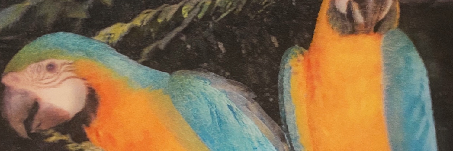 iwakages's profile banner image