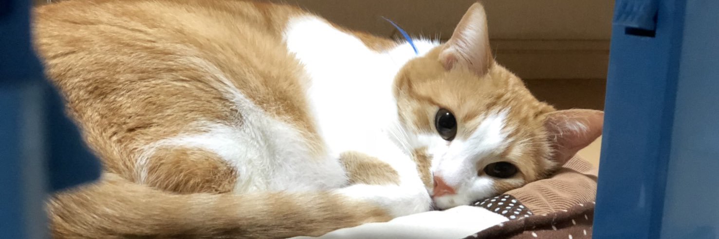han_kun_kool's profile banner image