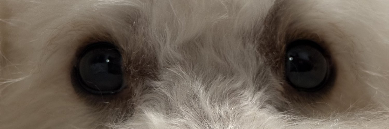 Yeeeer_'s profile banner image