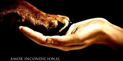 animalprotect5's profile banner image