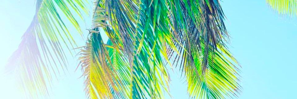bridgetkad's profile banner image