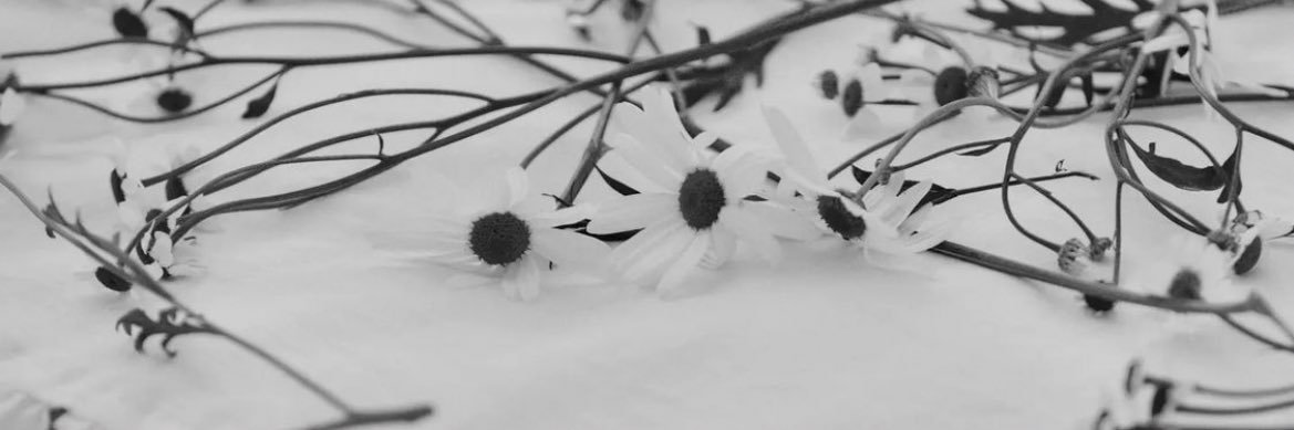 yang97yc's profile banner image