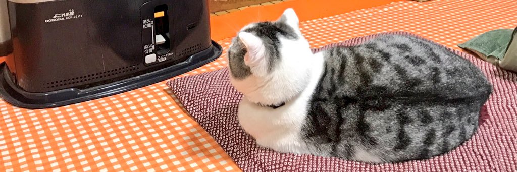 烏兎@推し難民 一応取引垢 banner