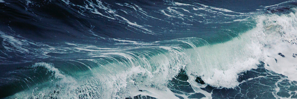 mind_user's profile banner image