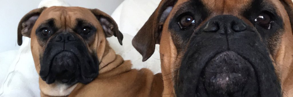 Tgood__'s profile banner image