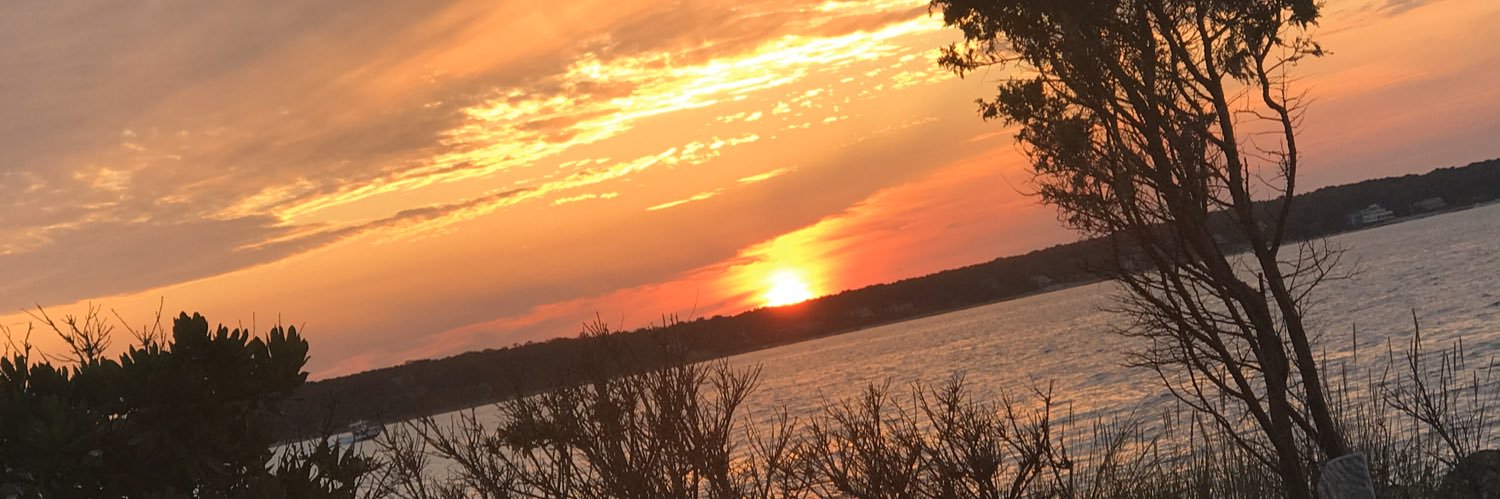 Meghan E. Wilson banner