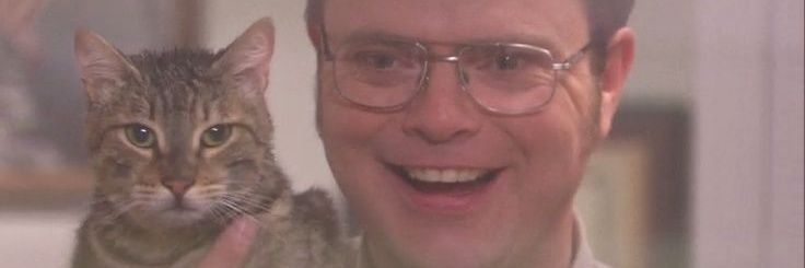 mer_ccddss's profile banner image