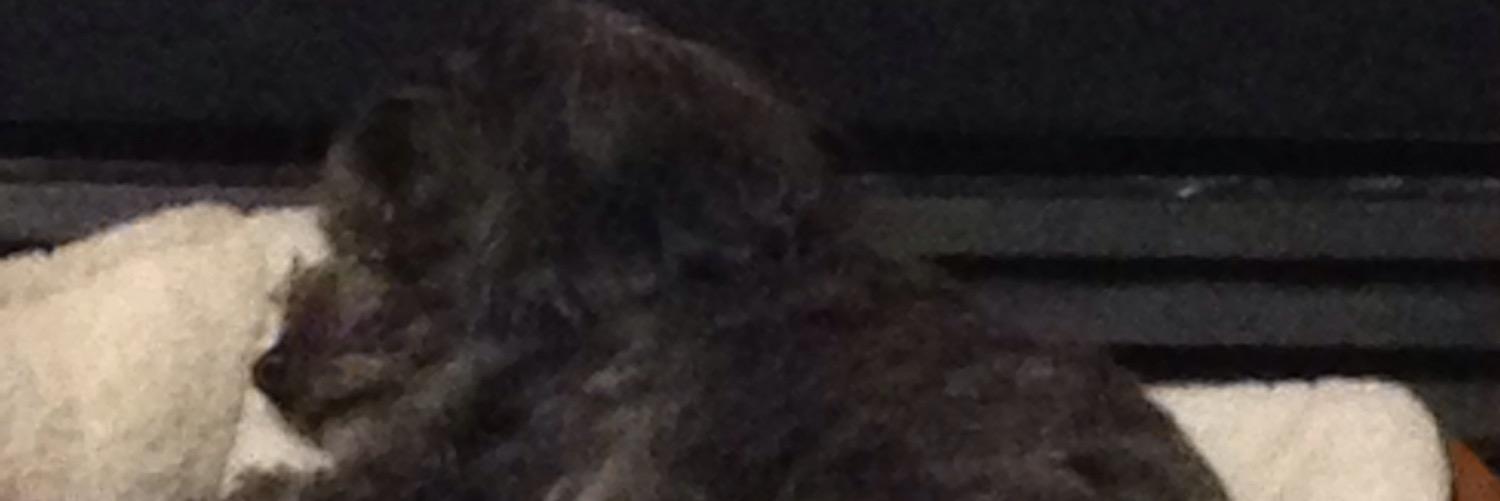 Bren0870's profile banner image