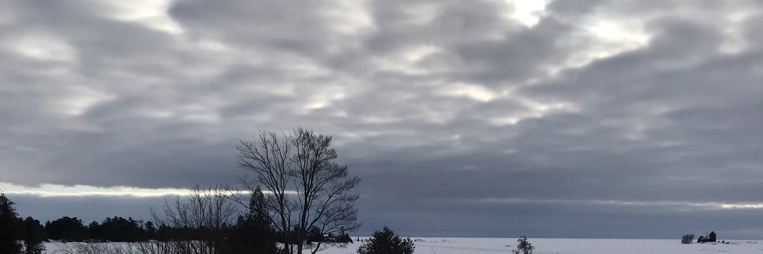 ell_ms's profile banner image