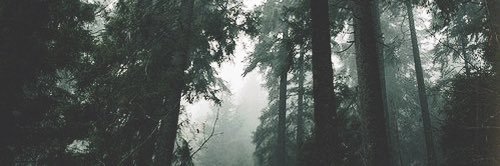 Erobthomas10's profile banner image