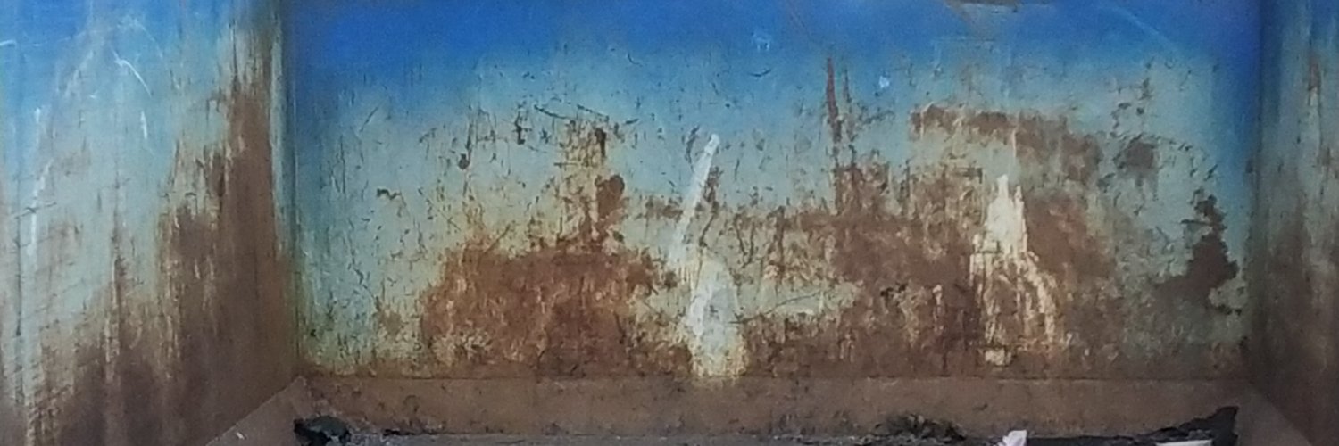 sbheinonen's profile banner image