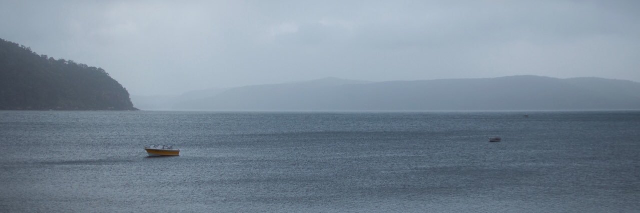 forestweif's profile banner image