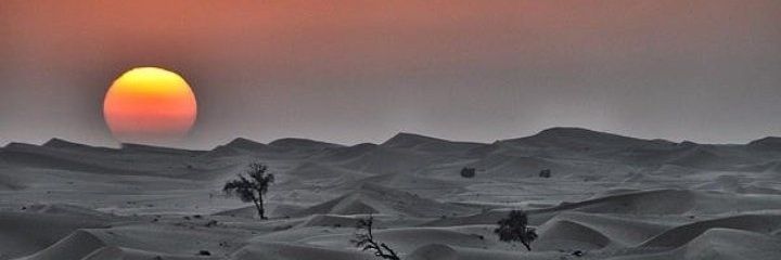 𝙼𝚘𝚑𝚜𝚒𝚗 𝙰𝚕𝚒 banner