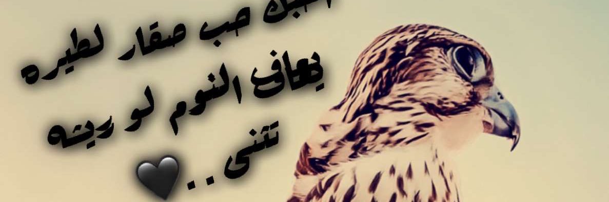 udsil's profile banner image