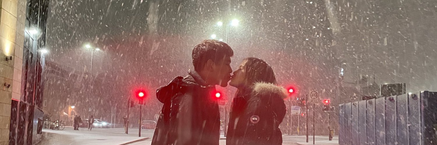 Night | Morph 🐨 banner