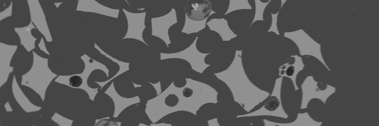 JenniLHopkins's profile banner image