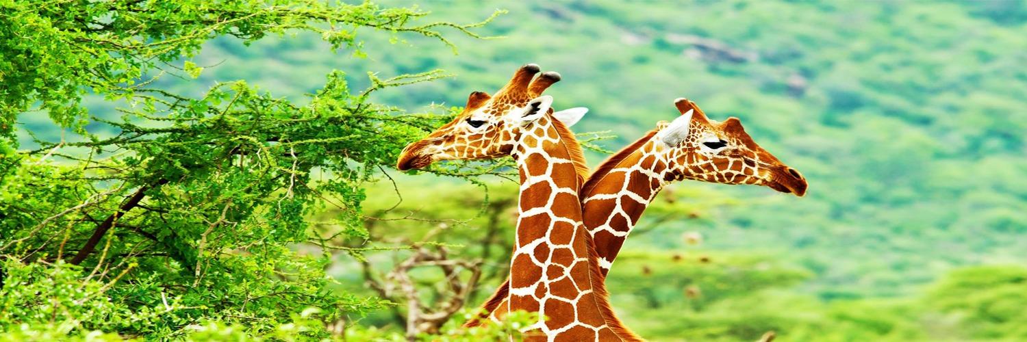AdvancedTours's profile banner image