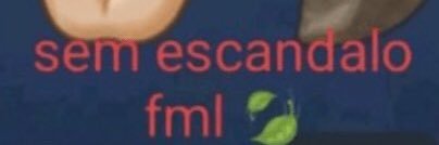 rildo banner