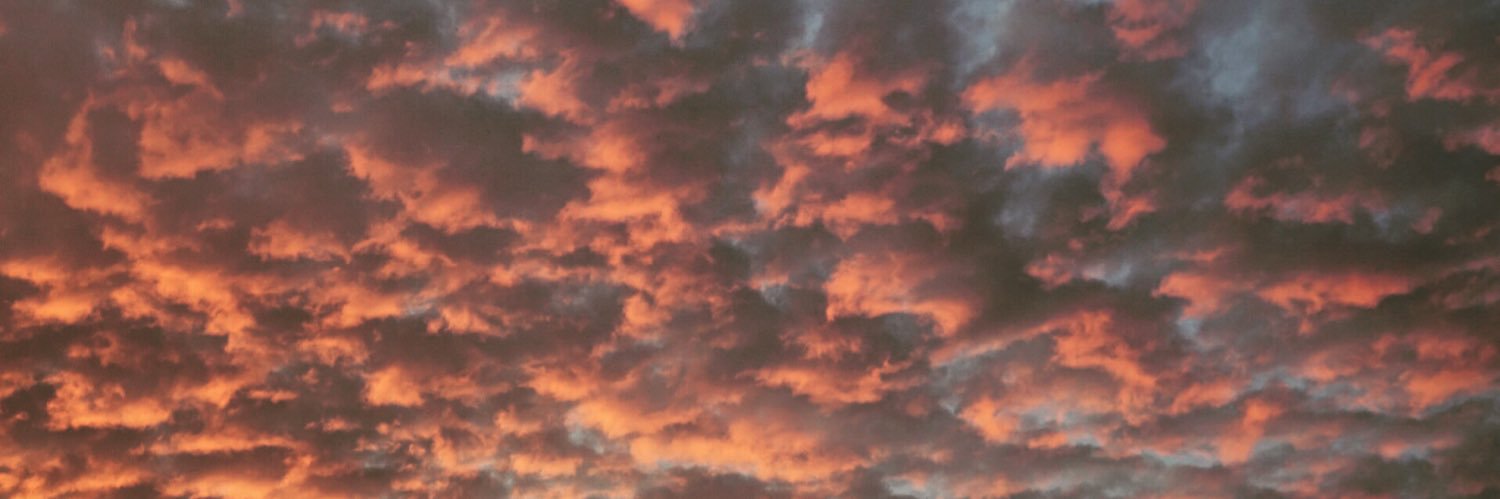 LauraMatyas's profile banner image