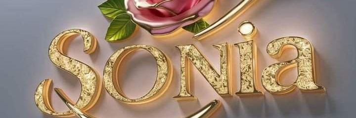 2009_sonia's profile banner image