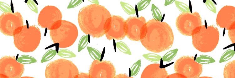 erinbcantrell's profile banner image