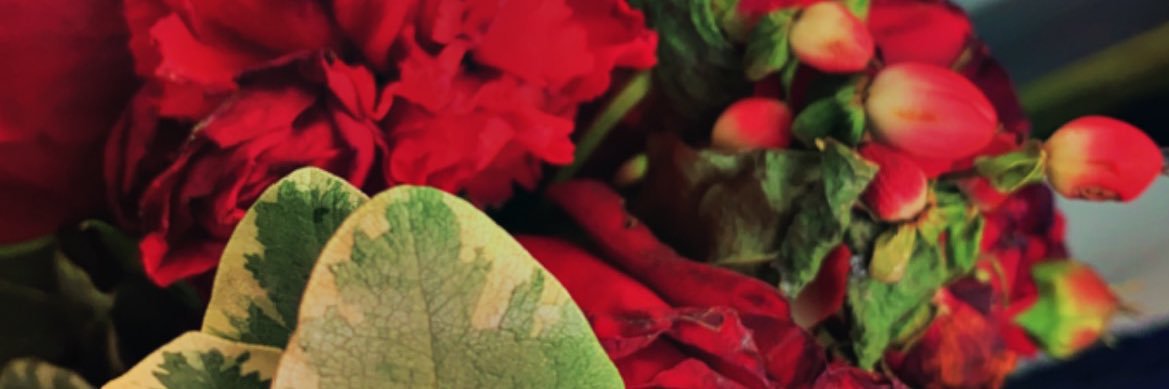 AN. banner