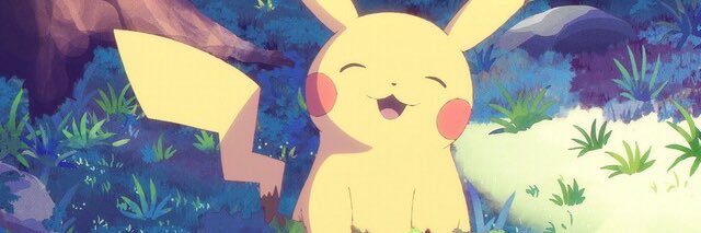 ドヤ顔たまヲジサン(たまざらしのたま🐾) banner
