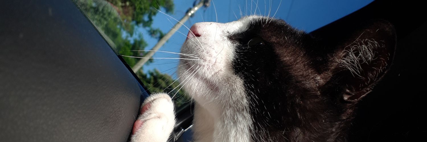 florispopis's profile banner image