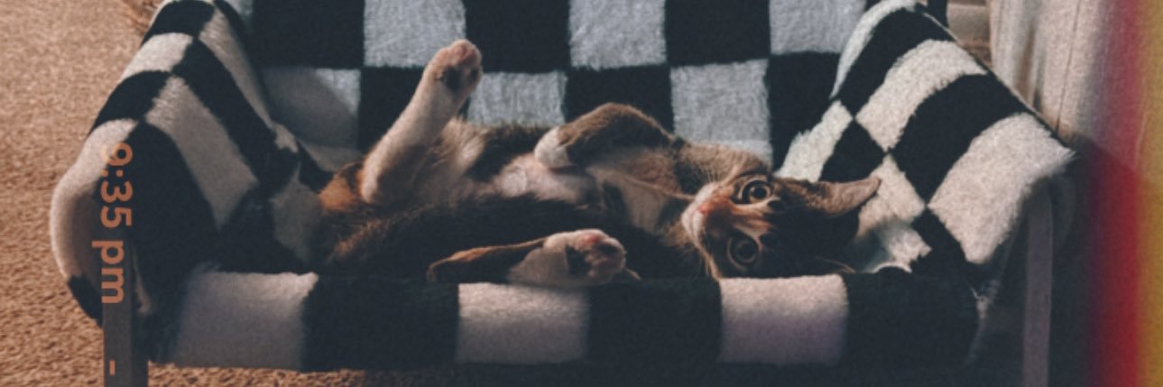 Dom_Morgann's profile banner image