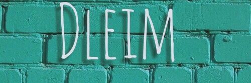 DleimersDF's profile banner image