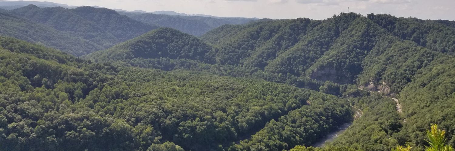 TuttleMatthew's profile banner image