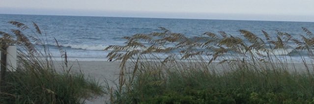 Tim_Fain's profile banner image