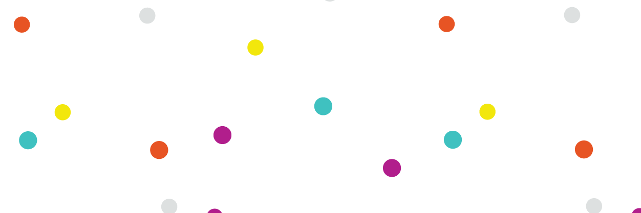 PVD Lady Project banner