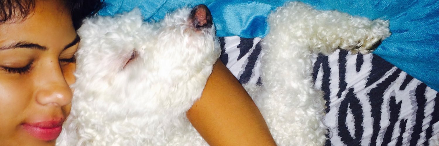 marirodzzz's profile banner image