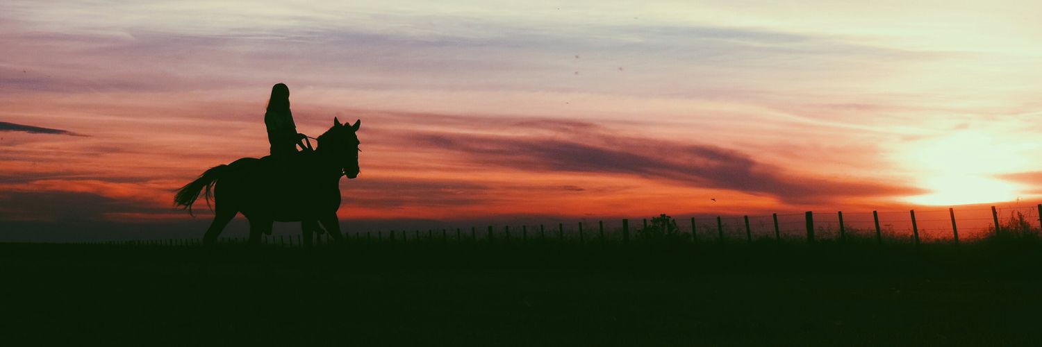 JPolarolo's profile banner image