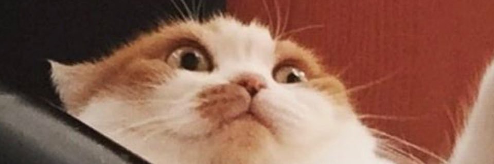 johnnytiredman's profile banner image