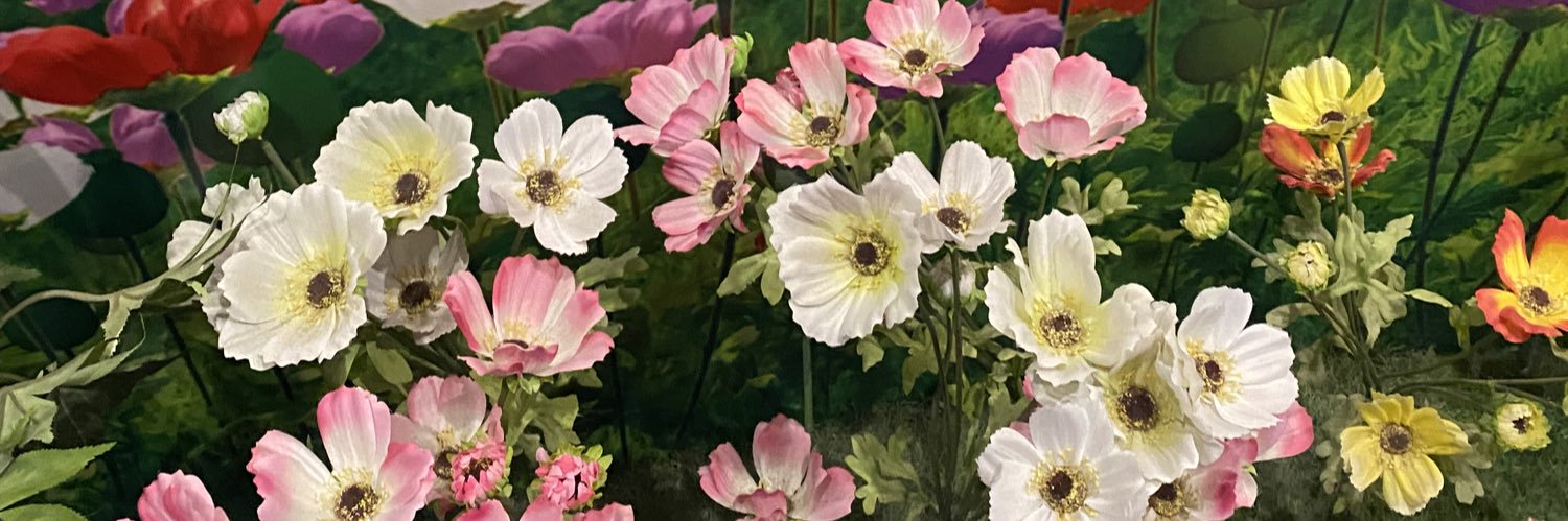 rxxxxxxxxp's profile banner image
