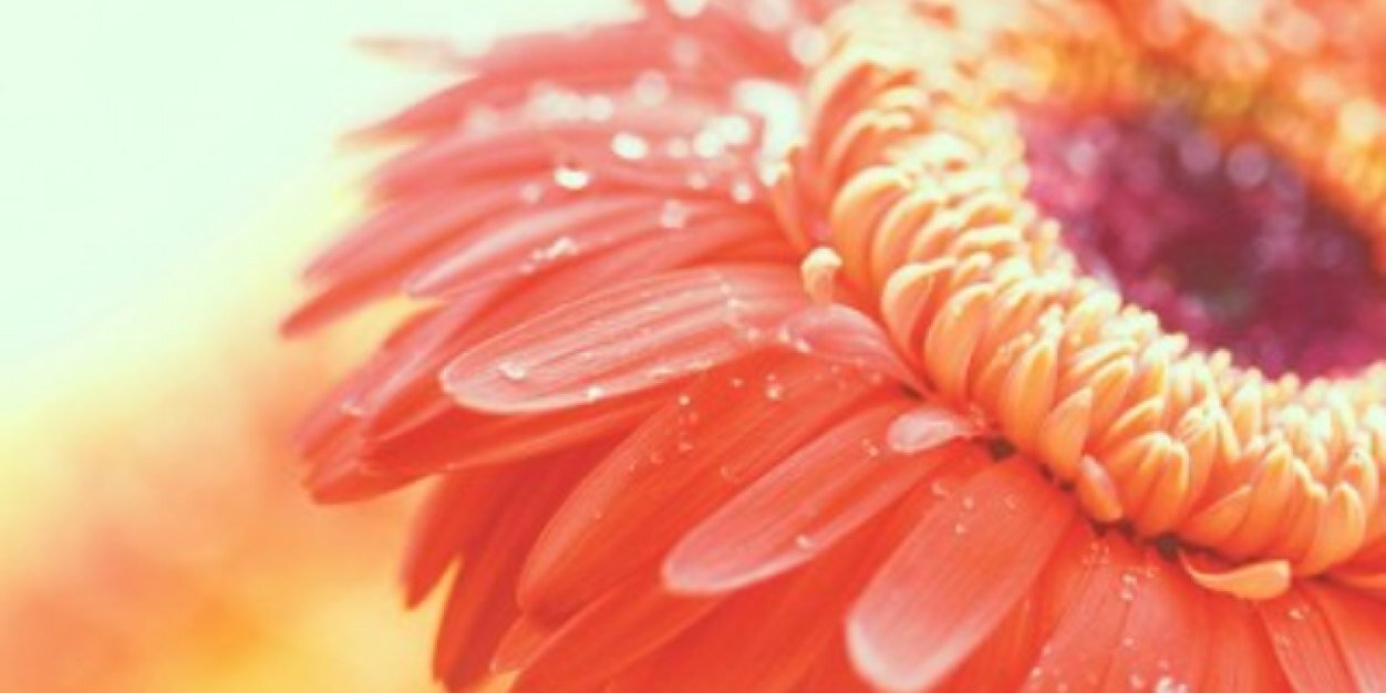 p_nicoleee's profile banner image