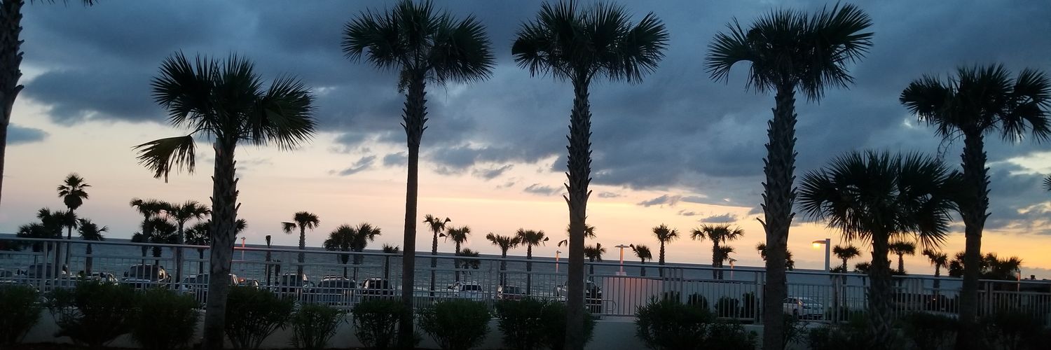 mariahwalter18's profile banner image
