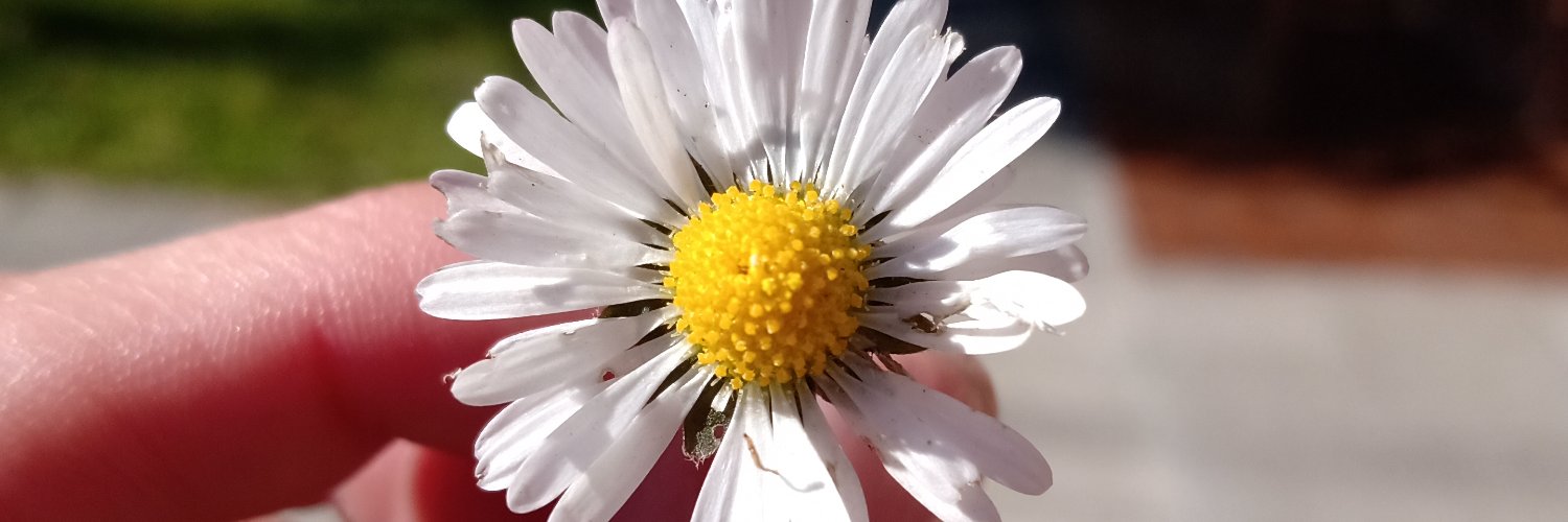 MiluErrapan's profile banner image
