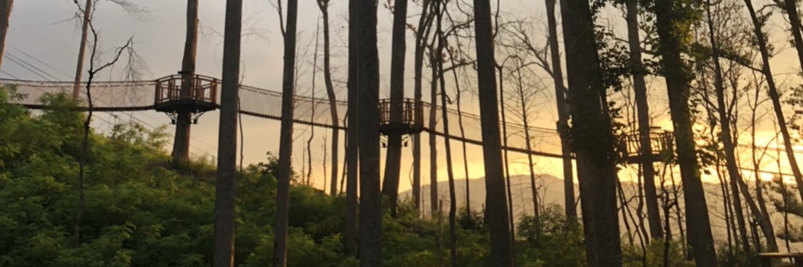 dtuck33's profile banner image