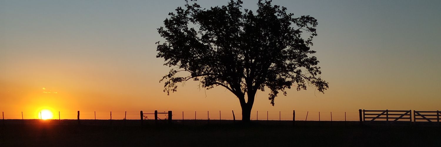 Sebastián Parnes banner