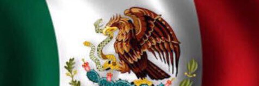 Frissia Monsivais banner