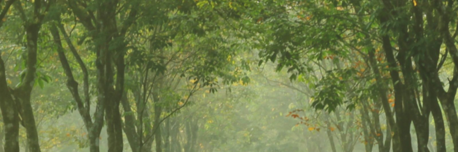 aka_ri04's profile banner image