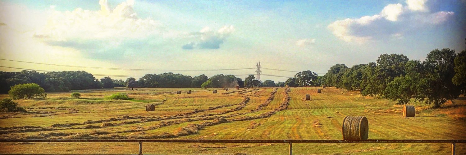 egan1991's profile banner image