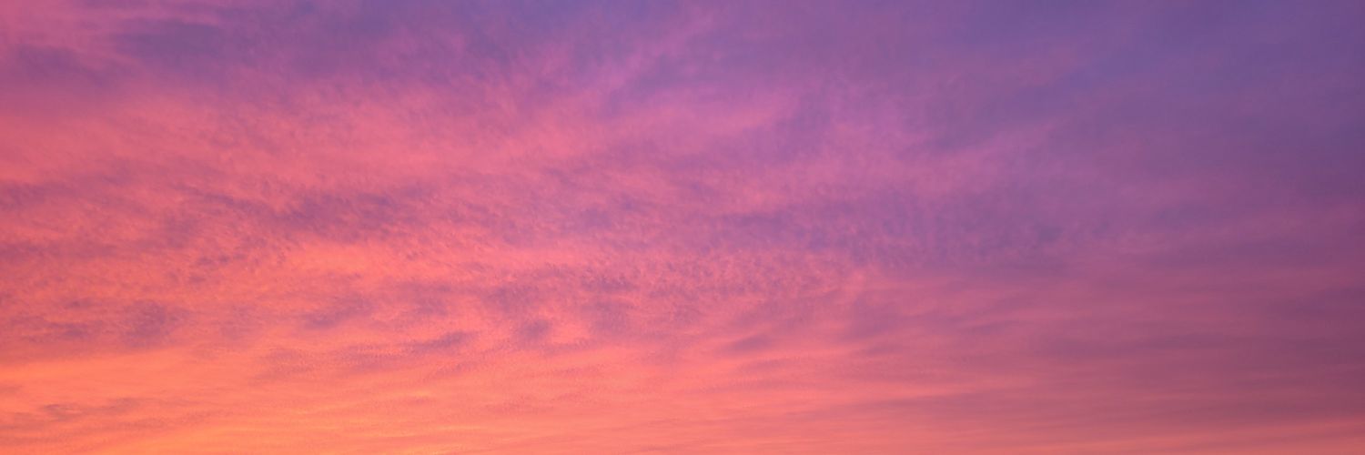 Diane Sempéré banner