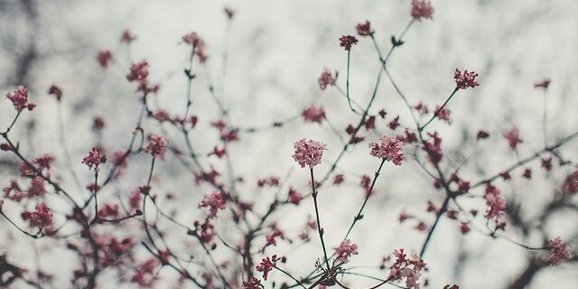 xoxocrys's profile banner image