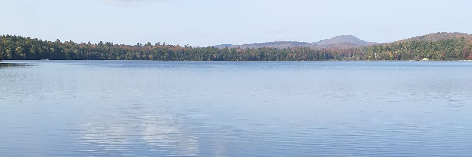 Gonyea13's profile banner image