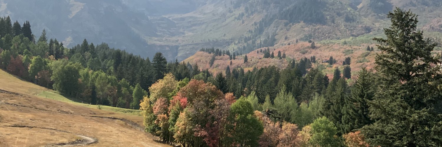 Annaclaradick's profile banner image