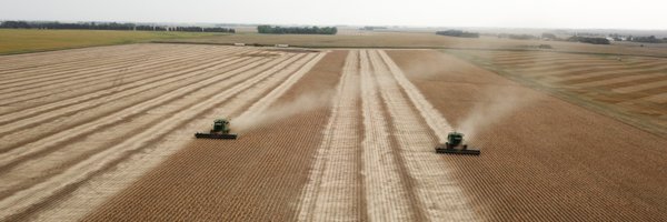 HesperFarmer Profile Banner